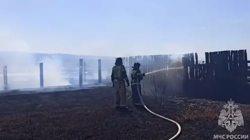 Ландшафтный пожар распространился на дачи в Забайкалье