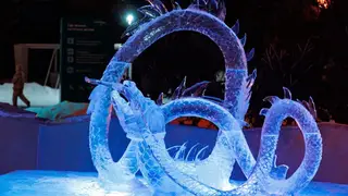 В Красноярске подвели итоги конкурса ледовых скульптур