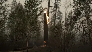 В Якутии сохраняется сложная обстановка с лесными пожарами