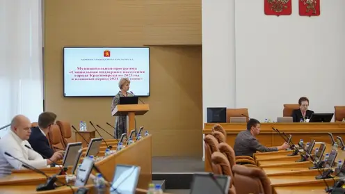 Красноярские депутаты рекомендовали мэрии больше внимания уделять патриотическому воспитанию молодёжи