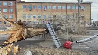 В Красноярске специалисты ликвидируют последствия ураганного ветра