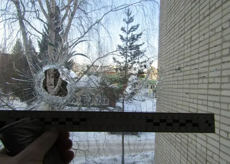 Житель Зеленогорска в Красноярском крае «случайно» выстрелил в жену в ходе ссоры из незарегистрированного ружья