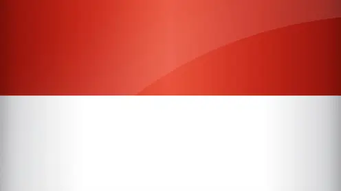 Индонезийцы выбрали название для новой столицы