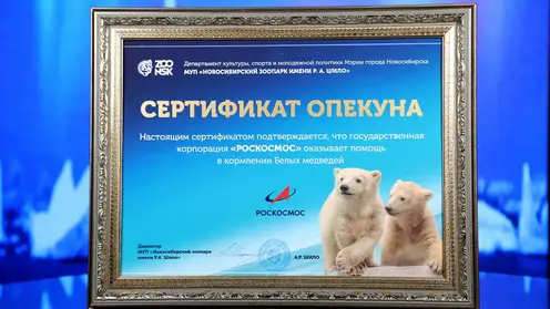 Роскосмос взял кураторство над медвежатами Белкой и Стрелкой из Новосибирского зоопарка